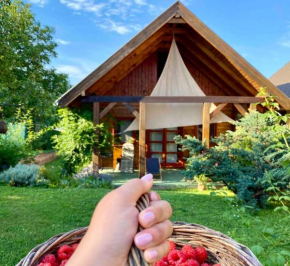 Málnás Vendégház-Raspberry Guesthouse